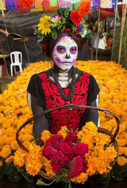 Día de Muertos: Producción de flor de cempasúchil aumentó %, según la  Sader | Hoy Dinero Lo de hoy