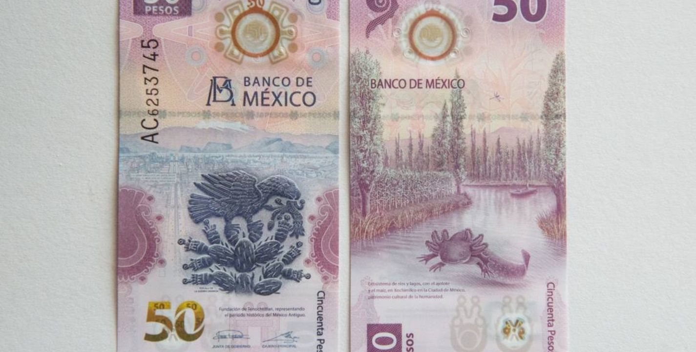 El billete de 50 pesos que incluye la imagen del Ajolote mexicano es el más bonito del mundo, según la IBNS.